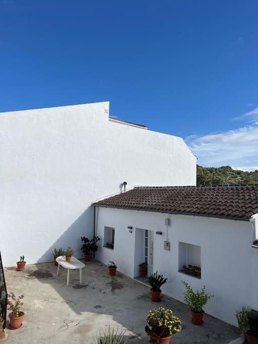Casa La Fuente Alta Villa Algodonales Exterior photo