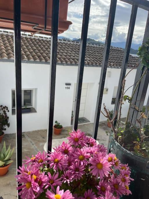 Casa La Fuente Alta Villa Algodonales Exterior photo