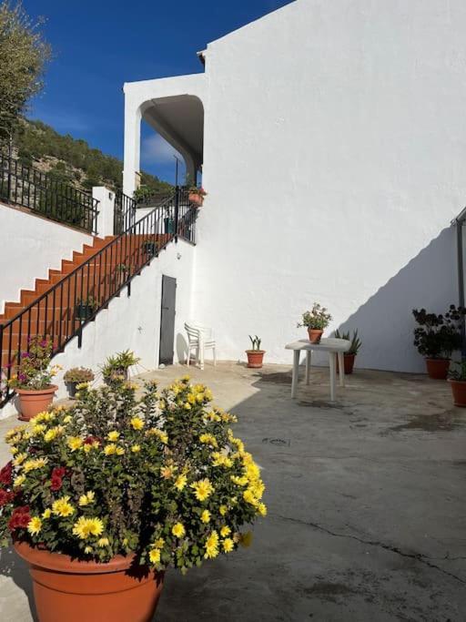 Casa La Fuente Alta Villa Algodonales Exterior photo